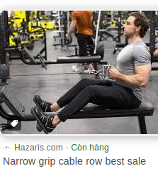 Seated Cable Row
